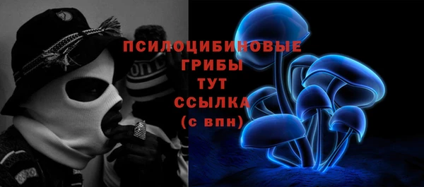 apvp Абинск