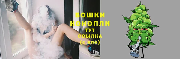 ешки Надым