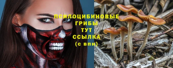 ешки Надым
